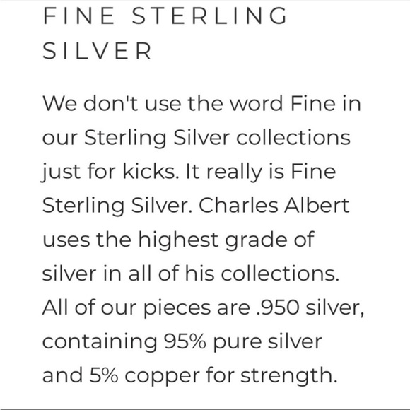 Signed Charles Albert Enhanced Purple Jasper Sterling Silver Necklace - Picture 4 of 8